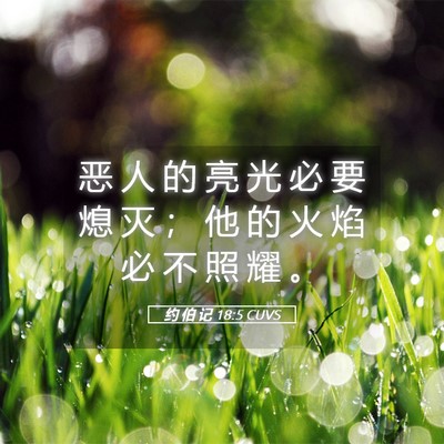 Picture 05 - 约 伯 记 18:5 CUVS - 恶 人 的 亮 光 必 要 熄 灭 ； 他 的 - Bible Verse Picture