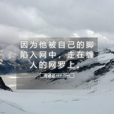 Picture 05 - 约 伯 记 18:8 CUVS - 因 为 他 被 自 己 的 脚 陷 入 网 中 - Bible Verse Picture