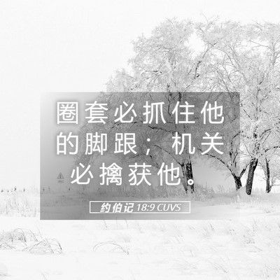 Picture 05 - 约 伯 记 18:9 CUVS - 圈 套 必 抓 住 他 的 脚 跟 ； 机 关 - Bible Verse Picture