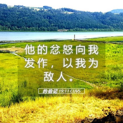 Picture 05 - 约 伯 记 19:11 CUVS - 他 的 忿 怒 向 我 发 作 ， 以 我 为 - Bible Verse Picture
