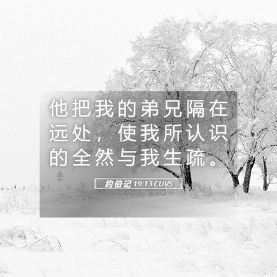 Picture 05 - 约 伯 记 19:13 CUVS - 他 把 我 的 弟 兄 隔 在 远 处 ， 使 - Bible Verse Picture