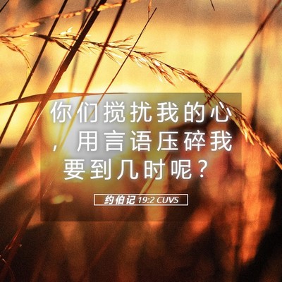 Picture 05 - 约 伯 记 19:2 CUVS - 你 们 搅 扰 我 的 心 ， 用 言 语 压 - Bible Verse Picture