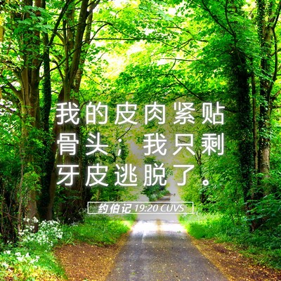 Picture 05 - 约 伯 记 19:20 CUVS - 我 的 皮 肉 紧 贴 骨 头 ； 我 只 剩 - Bible Verse Picture