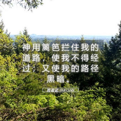 Picture 05 - 约 伯 记 19:8 CUVS - 神 用 篱 笆 拦 住 我 的 道 路 ， 使 - Bible Verse Picture