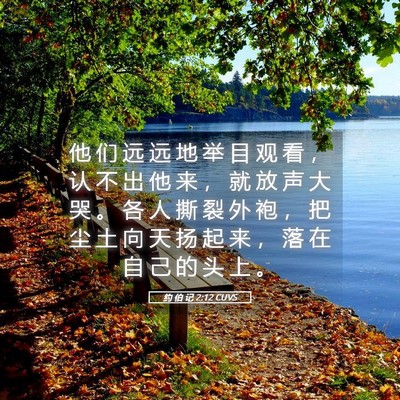 Picture 05 - 约 伯 记 2:12 CUVS - 他 们 远 远 地 举 目 观 看 ， 认 不 - Bible Verse Picture