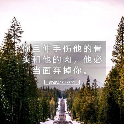 Picture 05 - 约 伯 记 2:5 CUVS - 你 且 伸 手 伤 他 的 骨 头 和 他 的 - Bible Verse Picture