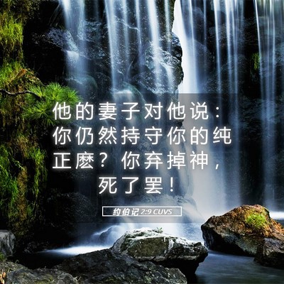 Picture 05 - 约 伯 记 2:9 CUVS - 他 的 妻 子 对 他 说 ： 你 仍 然 持 - Bible Verse Picture