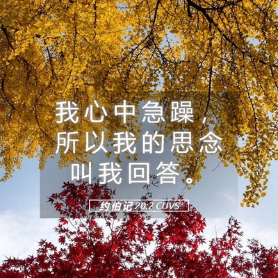 Picture 05 - 约 伯 记 20:2 CUVS - 我 心 中 急 躁 ， 所 以 我 的 思 念 - Bible Verse Picture