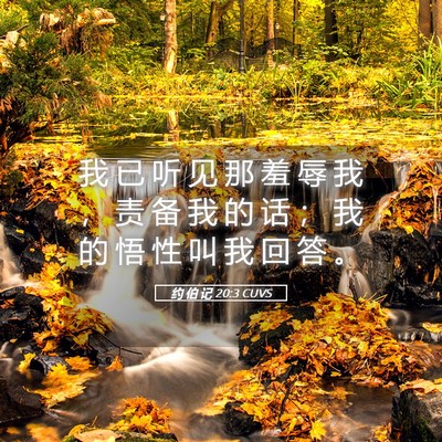 Picture 05 - 约 伯 记 20:3 CUVS - 我 已 听 见 那 羞 辱 我 ， 责 备 我 - Bible Verse Picture