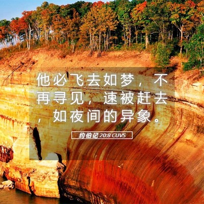 Picture 05 - 约 伯 记 20:8 CUVS - 他 必 飞 去 如 梦 ， 不 再 寻 见 ， - Bible Verse Picture
