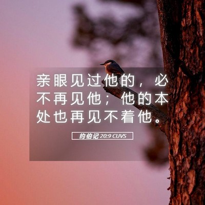 Picture 05 - 约 伯 记 20:9 CUVS - 亲 眼 见 过 他 的 ， 必 不 再 见 他 - Bible Verse Picture