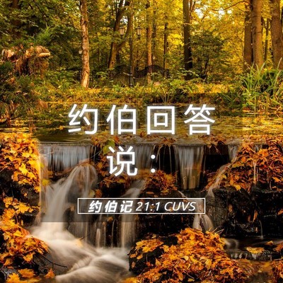 Picture 05 - 约 伯 记 21:1 CUVS - 约 伯 回 答 说 - Bible Verse Picture