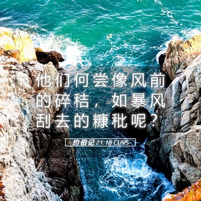 Picture 05 - 约 伯 记 21:18 CUVS - 他 们 何 尝 像 风 前 的 碎 秸 ， 如 - Bible Verse Picture