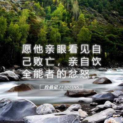 Picture 05 - 约 伯 记 21:20 CUVS - 愿 他 亲 眼 看 见 自 己 败 亡 ， 亲 - Bible Verse Picture
