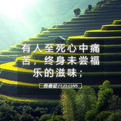 Picture 05 - 约 伯 记 21:25 CUVS - 有 人 至 死 心 中 痛 苦 ， 终 身 未 - Bible Verse Picture