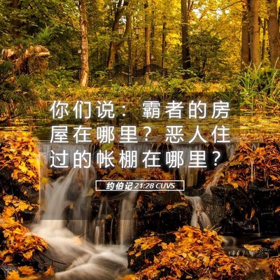 Picture 05 - 约 伯 记 21:28 CUVS - 你 们 说 ： 霸 者 的 房 屋 在 哪 里 - Bible Verse Picture