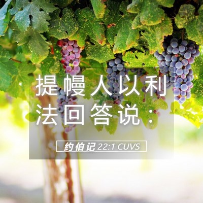 Picture 05 - 约 伯 记 22:1 CUVS - 提 幔 人 以 利 法 回 答 说 - Bible Verse Picture