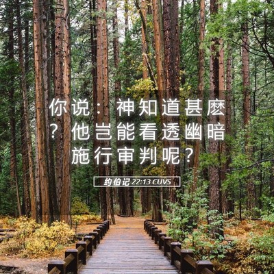 Picture 05 - 约 伯 记 22:13 CUVS - 你 说 ： 神 知 道 甚 麽 ？ 他 岂 能 - Bible Verse Picture