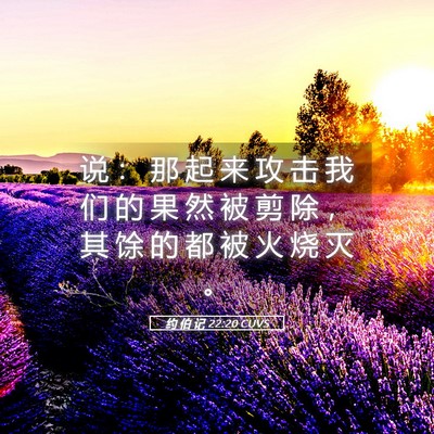 Picture 05 - 约 伯 记 22:20 CUVS - 说 ： 那 起 来 攻 击 我 们 的 果 然 - Bible Verse Picture