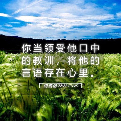 Picture 05 - 约 伯 记 22:22 CUVS - 你 当 领 受 他 口 中 的 教 训 ， 将 - Bible Verse Picture