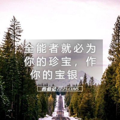 Picture 05 - 约 伯 记 22:25 CUVS - 全 能 者 就 必 为 你 的 珍 宝 ， 作 - Bible Verse Picture