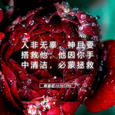 Picture 05 - 约 伯 记 22:30 CUVS - 人 非 无 辜 ， 神 且 要 搭 救 他 ； - Bible Verse Picture