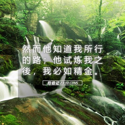 Picture 05 - 约 伯 记 23:10 CUVS - 然 而 他 知 道 我 所 行 的 路 ； 他 - Bible Verse Picture