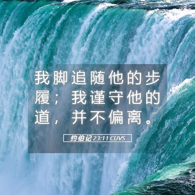 Picture 05 - 约 伯 记 23:11 CUVS - 我 脚 追 随 他 的 步 履 ； 我 谨 守 - Bible Verse Picture