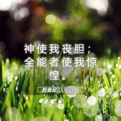 Picture 05 - 约 伯 记 23:16 CUVS - 神 使 我 丧 胆 ； 全 能 者 使 我 惊 - Bible Verse Picture