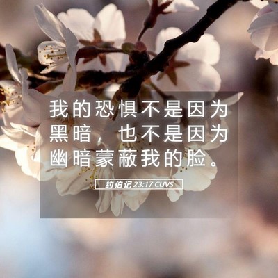 Picture 05 - 约 伯 记 23:17 CUVS - 我 的 恐 惧 不 是 因 为 黑 暗 ， 也 - Bible Verse Picture
