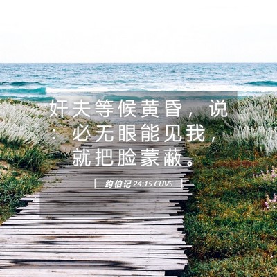 Picture 05 - 约 伯 记 24:15 CUVS - 奸 夫 等 候 黄 昏 ， 说 ： 必 无 眼 - Bible Verse Picture