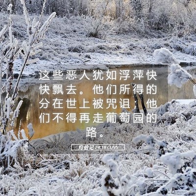 Picture 05 - 约 伯 记 24:18 CUVS - 这 些 恶 人 犹 如 浮 萍 快 快 飘 去 - Bible Verse Picture