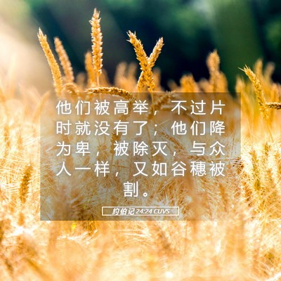 Picture 05 - 约 伯 记 24:24 CUVS - 他 们 被 高 举 ， 不 过 片 时 就 没 - Bible Verse Picture