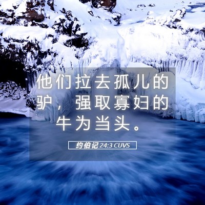Picture 05 - 约 伯 记 24:3 CUVS - 他 们 拉 去 孤 儿 的 驴 ， 强 取 寡 - Bible Verse Picture