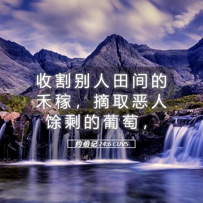 Picture 05 - 约 伯 记 24:6 CUVS - 收 割 别 人 田 间 的 禾 稼 ， 摘 取 - Bible Verse Picture
