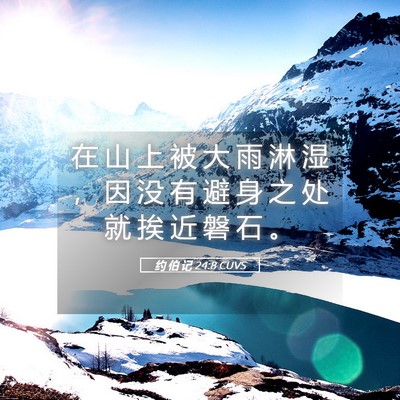Picture 05 - 约 伯 记 24:8 CUVS - 在 山 上 被 大 雨 淋 湿 ， 因 没 有 - Bible Verse Picture