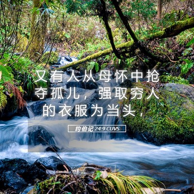 Picture 05 - 约 伯 记 24:9 CUVS - 又 有 人 从 母 怀 中 抢 夺 孤 儿 ， - Bible Verse Picture