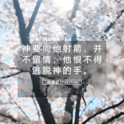 Picture 05 - 约 伯 记 27:22 CUVS - 神 要 向 他 射 箭 ， 并 不 留 情 ； - Bible Verse Picture