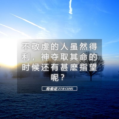 Picture 05 - 约 伯 记 27:8 CUVS - 不 敬 虔 的 人 虽 然 得 利 ， 神 夺 - Bible Verse Picture