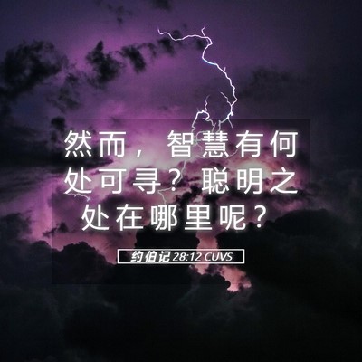Picture 05 - 约 伯 记 28:12 CUVS - 然 而 ， 智 慧 有 何 处 可 寻 ？ 聪 - Bible Verse Picture