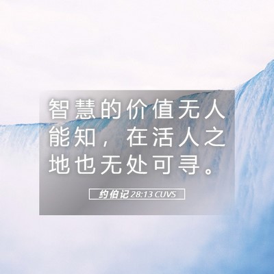 Picture 05 - 约 伯 记 28:13 CUVS - 智 慧 的 价 值 无 人 能 知 ， 在 活 - Bible Verse Picture