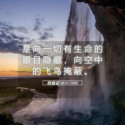 Picture 05 - 约 伯 记 28:21 CUVS - 是 向 一 切 有 生 命 的 眼 目 隐 藏 - Bible Verse Picture