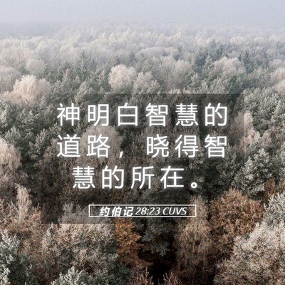 Picture 05 - 约 伯 记 28:23 CUVS - 神 明 白 智 慧 的 道 路 ， 晓 得 智 - Bible Verse Picture