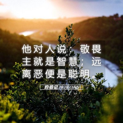 Picture 05 - 约 伯 记 28:28 CUVS - 他 对 人 说 ： 敬 畏 主 就 是 智 慧 - Bible Verse Picture