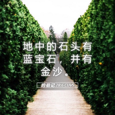 Picture 05 - 约 伯 记 28:6 CUVS - 地 中 的 石 头 有 蓝 宝 石 ， 并 有 - Bible Verse Picture