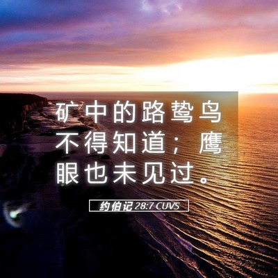 Picture 05 - 约 伯 记 28:7 CUVS - 矿 中 的 路 鸷 鸟 不 得 知 道 ； 鹰 - Bible Verse Picture