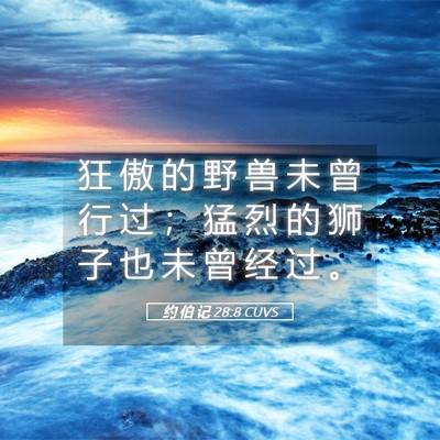 Picture 05 - 约 伯 记 28:8 CUVS - 狂 傲 的 野 兽 未 曾 行 过 ； 猛 烈 - Bible Verse Picture