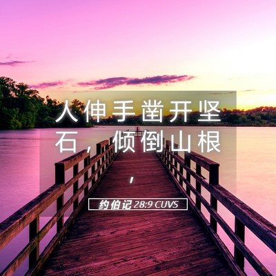 Picture 05 - 约 伯 记 28:9 CUVS - 人 伸 手 凿 开 坚 石 ， 倾 倒 山 根 - Bible Verse Picture