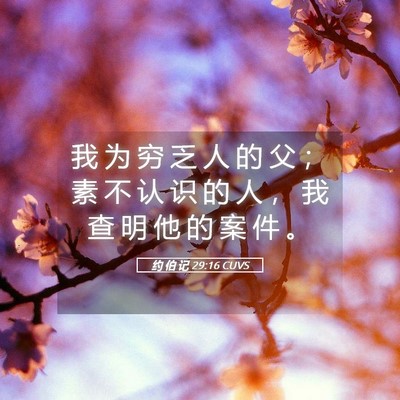 Picture 05 - 约 伯 记 29:16 CUVS - 我 为 穷 乏 人 的 父 ； 素 不 认 识 - Bible Verse Picture