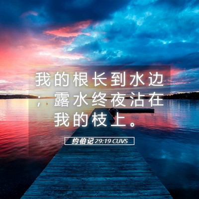 Picture 05 - 约 伯 记 29:19 CUVS - 我 的 根 长 到 水 边 ； 露 水 终 夜 - Bible Verse Picture